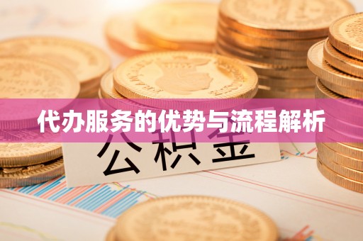 南阳代办服务的优势与流程解析