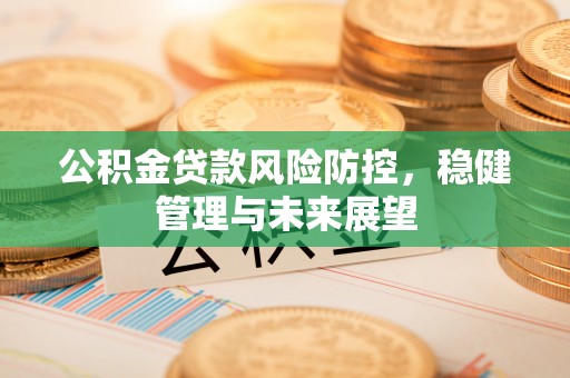 南阳公积金贷款风险防控，稳健管理与未来展望