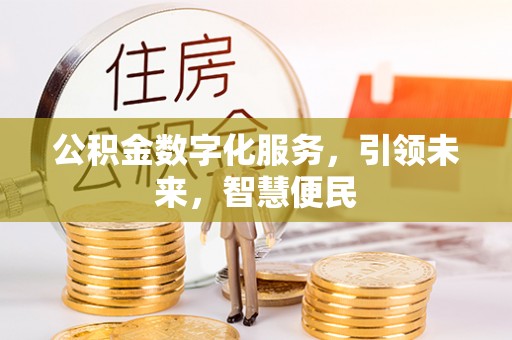 南阳公积金数字化服务，引领未来，智慧便民