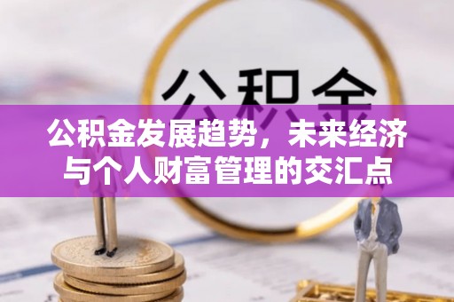 南阳公积金发展趋势，未来经济与个人财富管理的交汇点