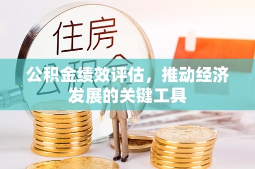 南阳公积金绩效评估，推动经济发展的关键工具