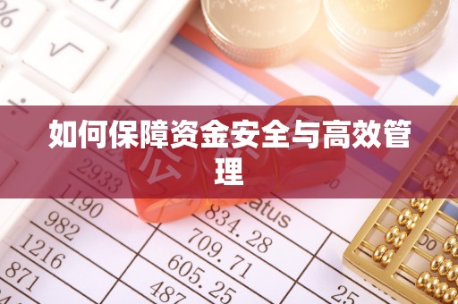 南阳如何保障资金安全与高效管理