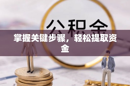 南阳掌握关键步骤，轻松提取资金