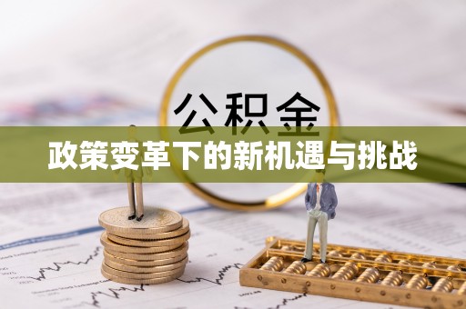 南阳政策变革下的新机遇与挑战