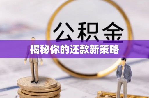 南阳揭秘你的还款新策略