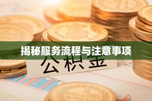 南阳揭秘服务流程与注意事项