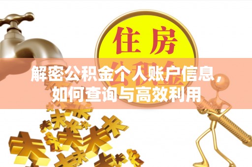 南阳解密公积金个人账户信息，如何查询与高效利用