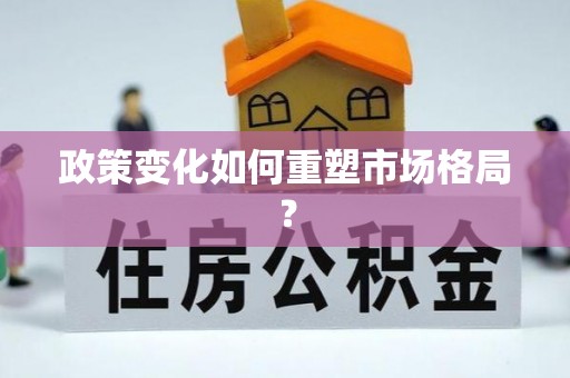 南阳政策变化如何重塑市场格局？