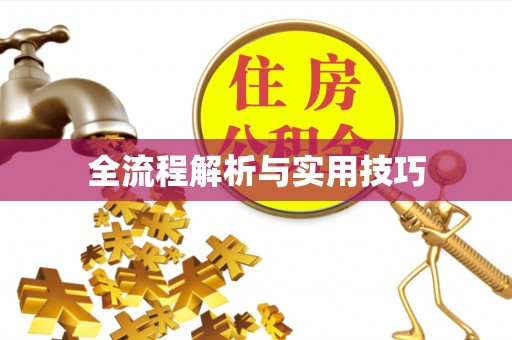 南阳全流程解析与实用技巧