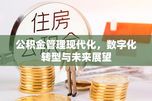 南阳公积金管理现代化，数字化转型与未来展望