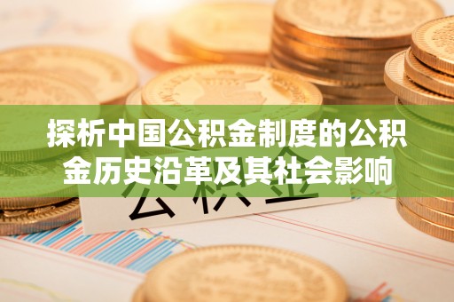 南阳探析中国公积金制度的公积金历史沿革及其社会影响