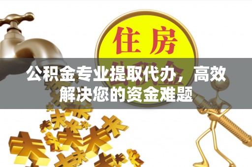 南阳公积金专业提取代办，高效解决您的资金难题