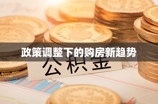 南阳政策调整下的购房新趋势
