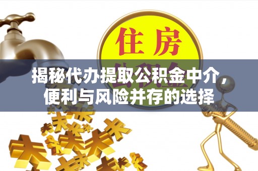 南阳揭秘代办提取公积金中介，便利与风险并存的选择