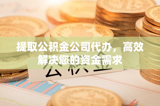 南阳提取公积金公司代办，高效解决您的资金需求