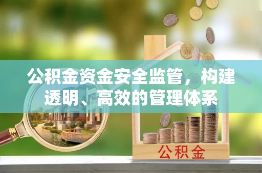 南阳公积金资金安全监管，构建透明、高效的管理体系
