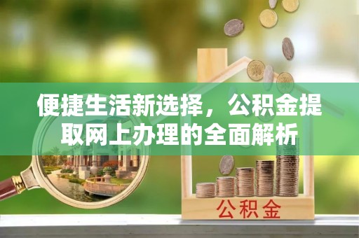 南阳便捷生活新选择，公积金提取网上办理的全面解析