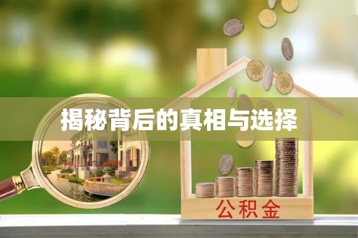 南阳揭秘背后的真相与选择