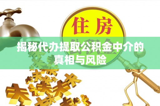 南阳揭秘代办提取公积金中介的真相与风险