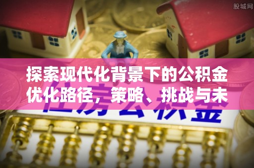 南阳探索现代化背景下的公积金优化路径，策略、挑战与未来展望