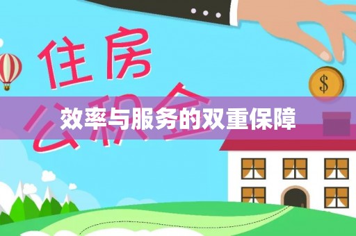 南阳效率与服务的双重保障