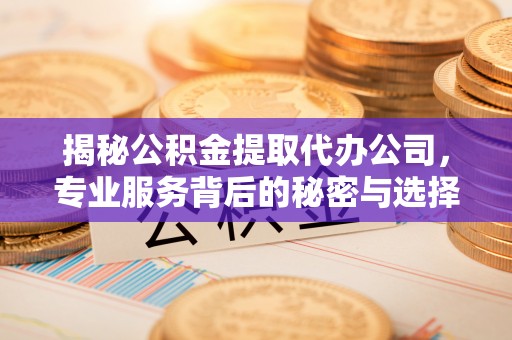 南阳揭秘公积金提取代办公司，专业服务背后的秘密与选择指南