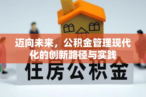 南阳迈向未来，公积金管理现代化的创新路径与实践