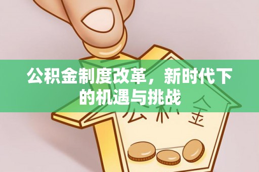南阳公积金制度改革，新时代下的机遇与挑战