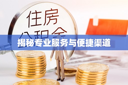 南阳揭秘专业服务与便捷渠道