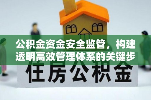 南阳公积金资金安全监管，构建透明高效管理体系的关键步骤