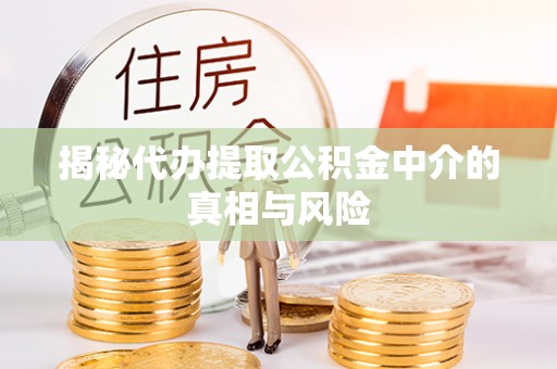 南阳揭秘代办提取公积金中介的真相与风险