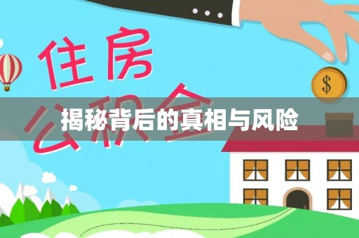 南阳揭秘背后的真相与风险
