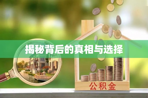南阳揭秘背后的真相与选择