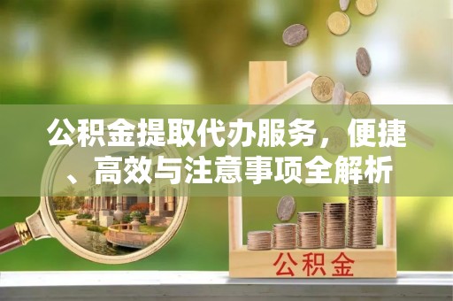 南阳公积金提取代办服务，便捷、高效与注意事项全解析
