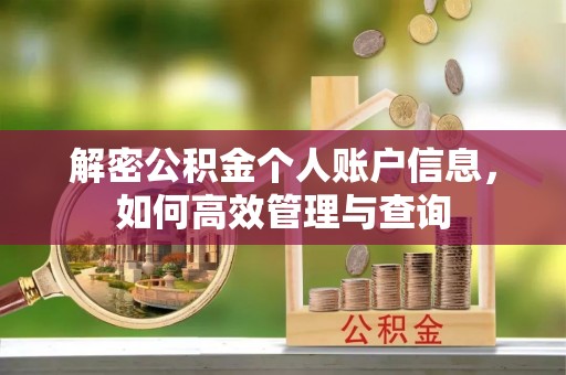 南阳解密公积金个人账户信息，如何高效管理与查询