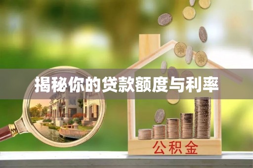 南阳揭秘你的贷款额度与利率