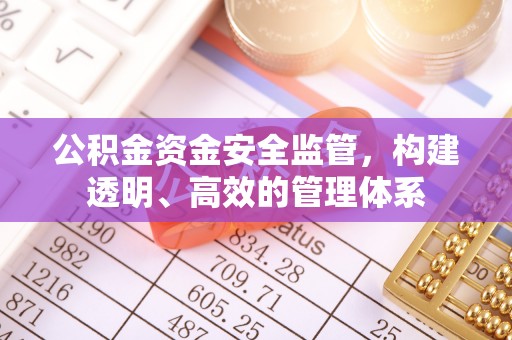 南阳公积金资金安全监管，构建透明、高效的管理体系