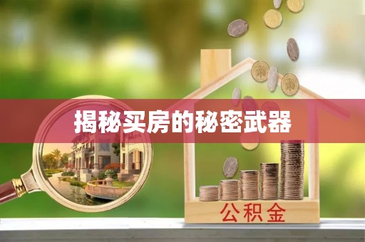 南阳揭秘买房的秘密武器