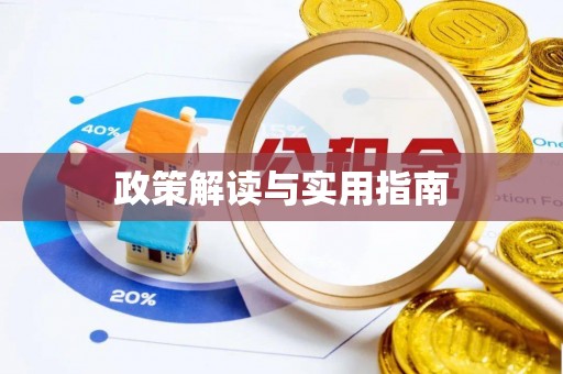 南阳政策解读与实用指南