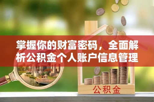 南阳掌握你的财富密码，全面解析公积金个人账户信息管理