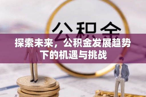 南阳探索未来，公积金发展趋势下的机遇与挑战
