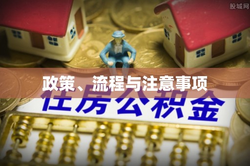 南阳政策、流程与注意事项