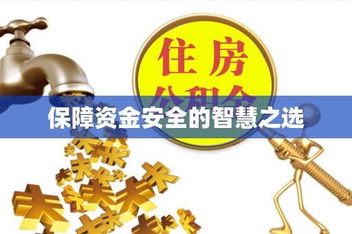 南阳保障资金安全的智慧之选