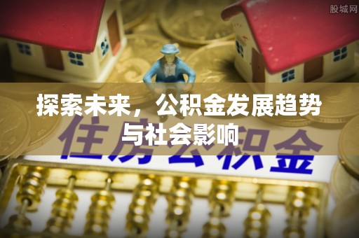 南阳探索未来，公积金发展趋势与社会影响
