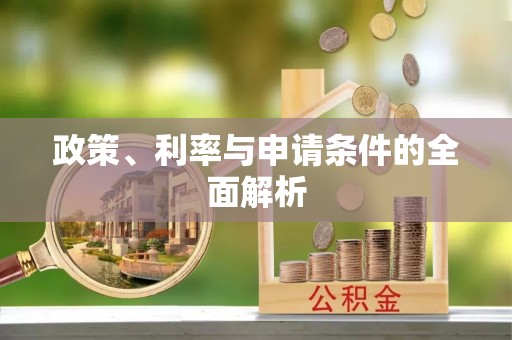 南阳政策、利率与申请条件的全面解析
