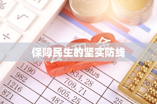 南阳保障民生的坚实防线