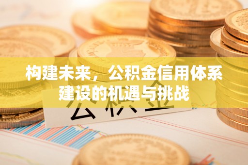 南阳构建未来，公积金信用体系建设的机遇与挑战