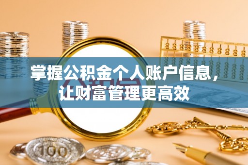 南阳掌握公积金个人账户信息，让财富管理更高效