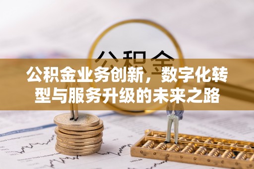 南阳公积金业务创新，数字化转型与服务升级的未来之路