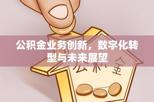 南阳公积金业务创新，数字化转型与未来展望